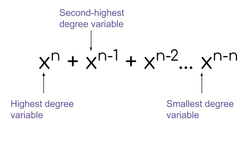 polynomial general form